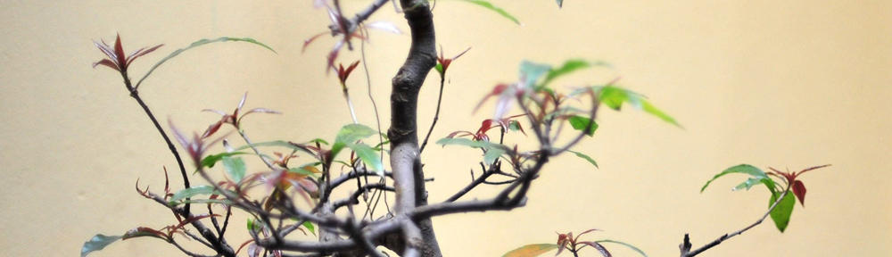 £eith Chooses back-up site. NOT FOR PUBLICATION